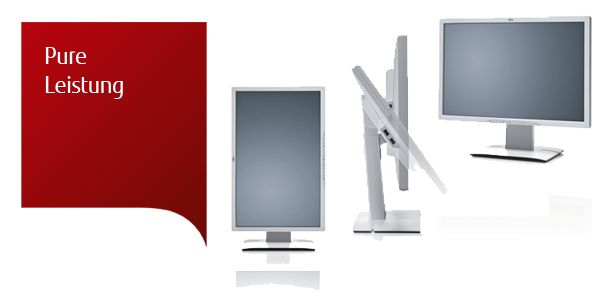 Display P24W-6 LED