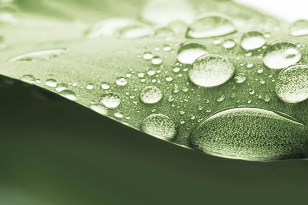 Green by IT für mehr Nachhaltigkeit
