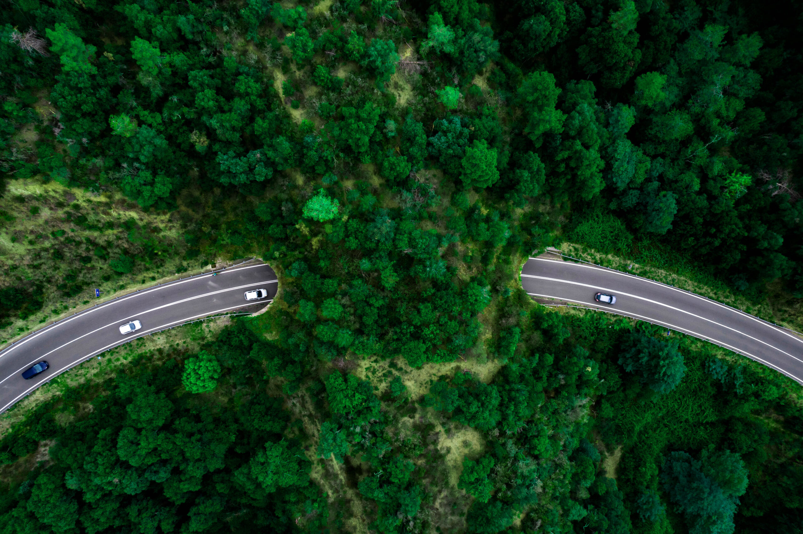Auch digital hinterlassen wir einen CO2-Fußabdruck. Mit Racks4Roots möchten wir etwas zurückgeben.