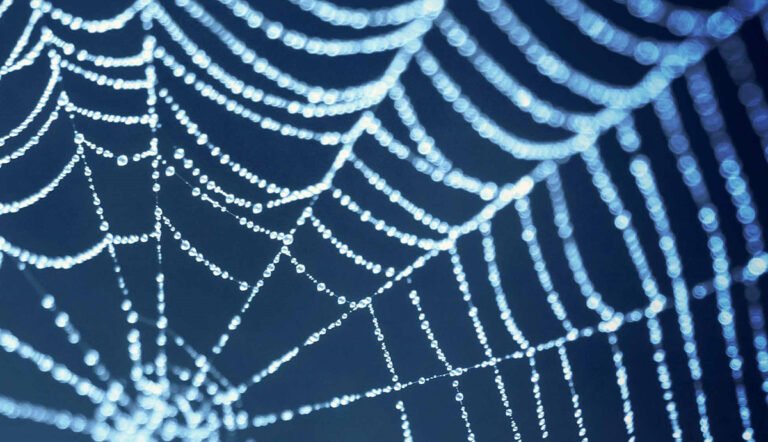 Künstliche Intelligenz? Gerne – aber ethisch und sicher