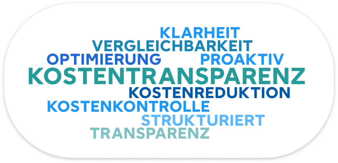 IT-Kostentransparenz durch Managed Maintenance: Effizienz steigern und Ausgaben optimieren